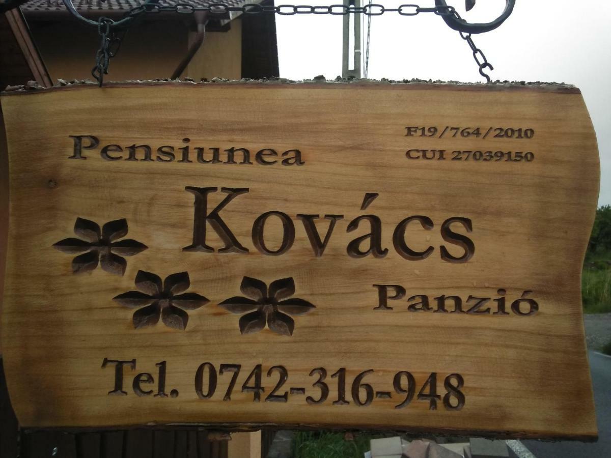 Kovács Guesthouse Praid Eksteriør billede